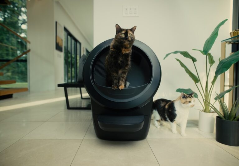 Litter robot 4 review UK